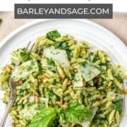 pesto orzo pin.