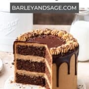 chocolate espresso cake pin.