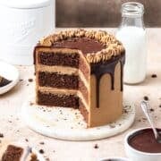 close up of chocolate espresso cake with chocolate cake layers and chocolate ganache.