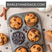 pumpkin chocolate chip muffins pin.