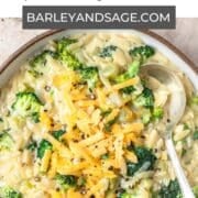 broccoli cheddar orzo pin.