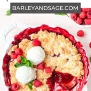 raspberry cobbler pin.
