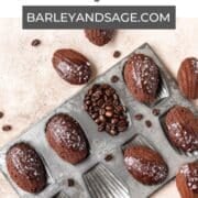 dark chocolate espresso madeleines pin.
