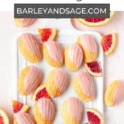 blood orange madeleines pin.