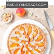 frangipane apricot tart pin.