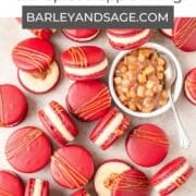 caramel apple pie macarons pin.