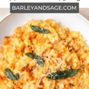 roasted butternut squash risotto pin.