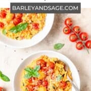 creamy tomato basil orzo pin.