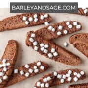 hot chocolate biscotti pin.