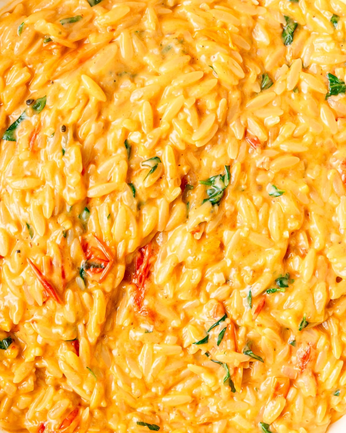 creamy tomato orzo.