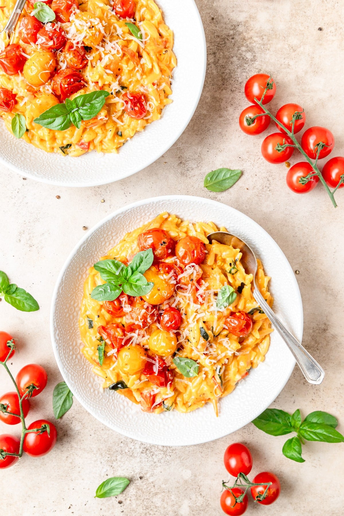 creamy tomato basil orzo with mascarpone.