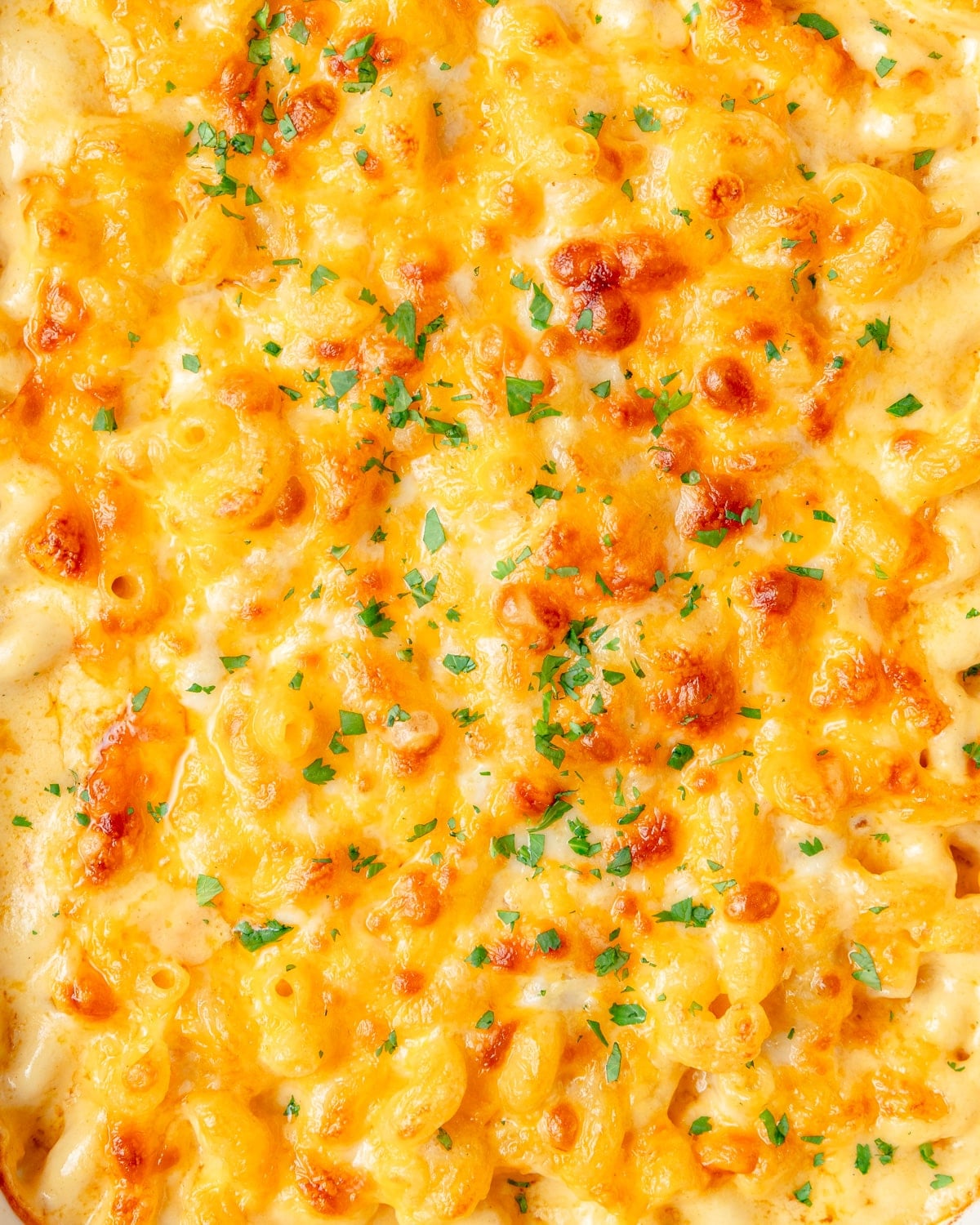 melted cheese on top of baked Mac and cheese.