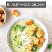 broccoli cheddar soup pin.