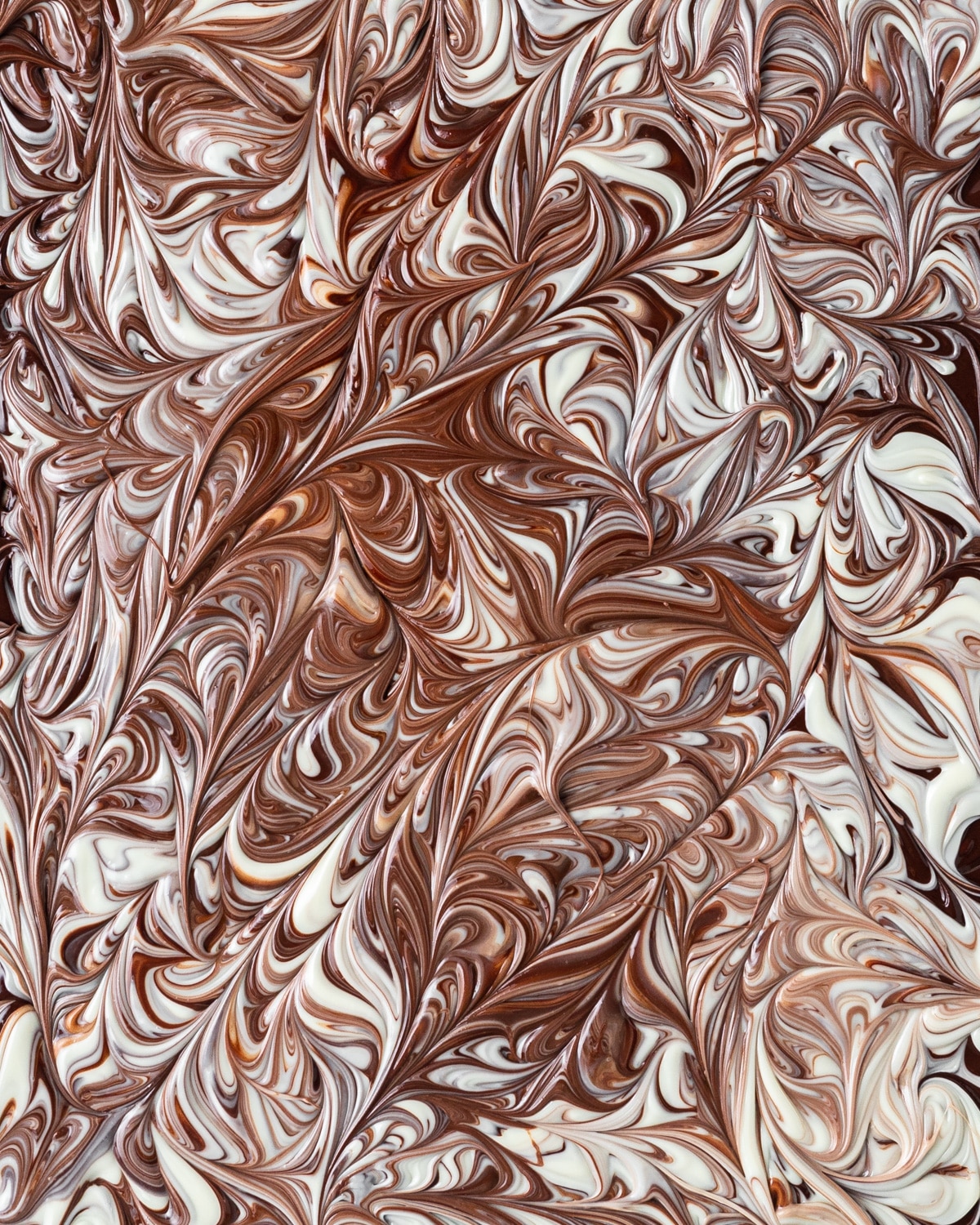 close up of swirled peppermint bark.