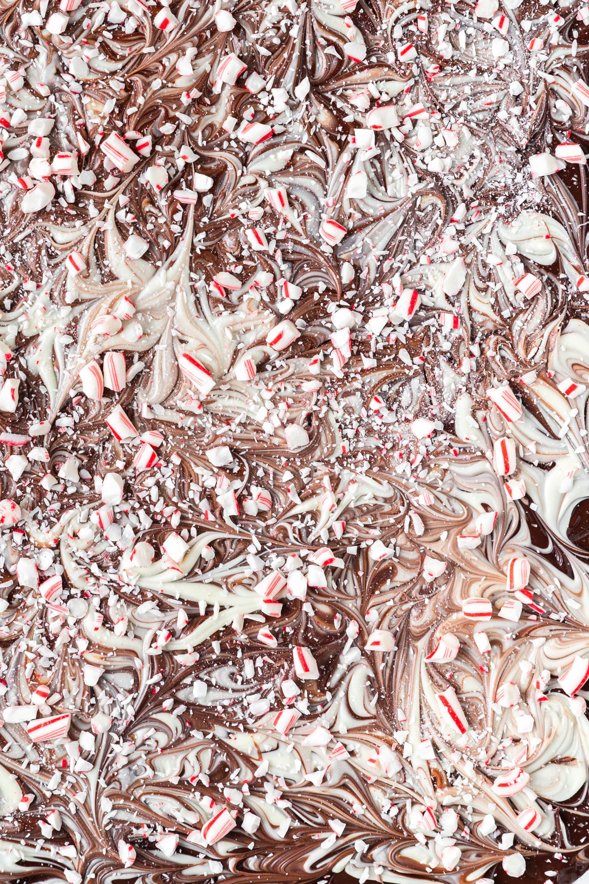 marbled peppermint bark before breaking.