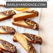 dark chocolate orange biscotti pin.