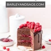 dark chocolate raspberry cake pin.