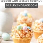 coconut easter egg cupcakes pin.