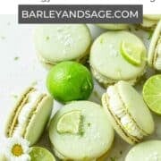 margarita macarons pin.