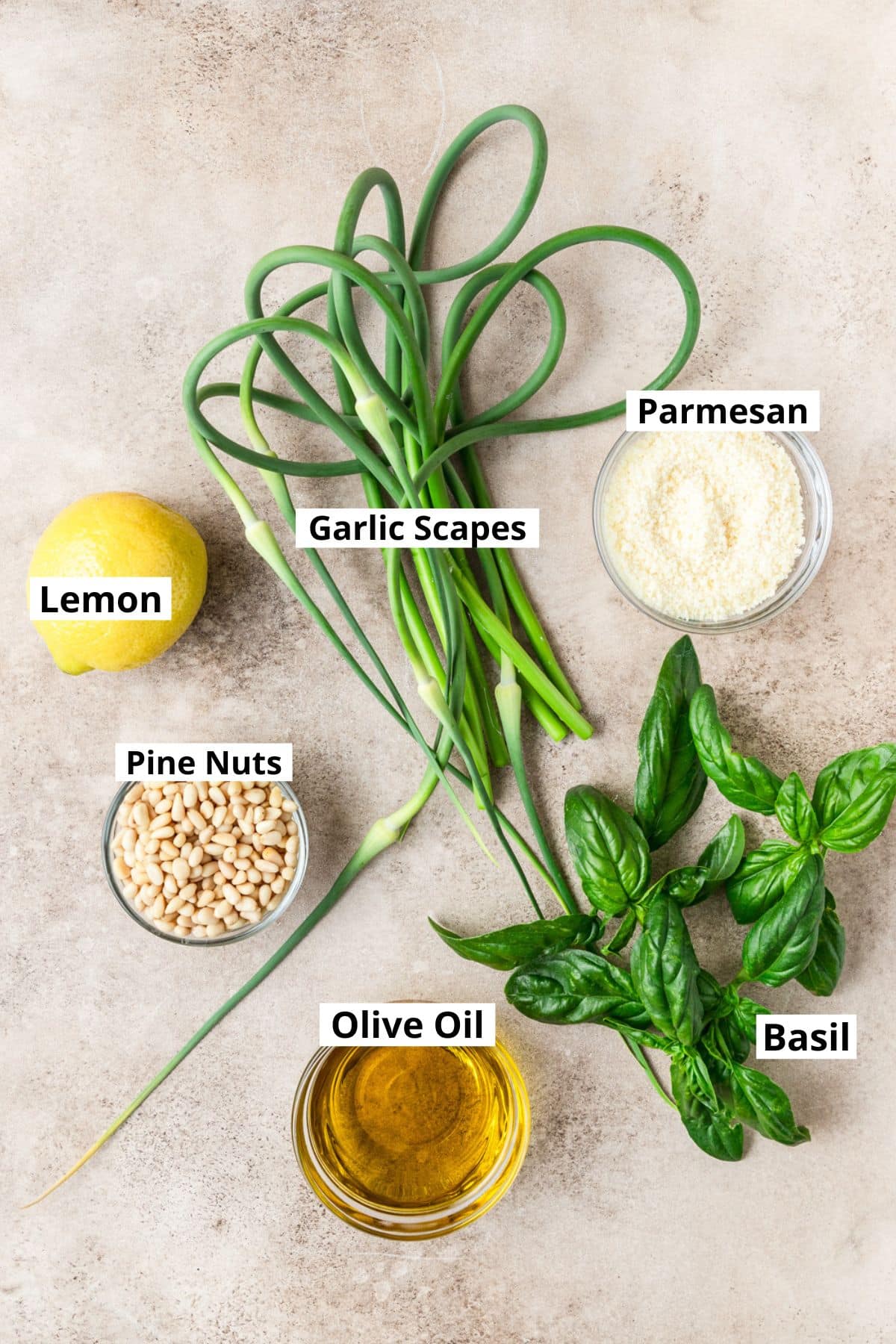 ingredients for garlic scape pesto.