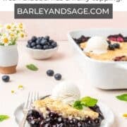 sourdough blueberry cobbler pin.